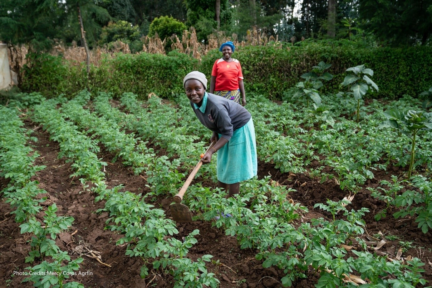 Scaling Digital Services to Reach 5 Million Farmers in East Africa